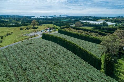 Photo of property in 56 Kauri Point Road, Laingholm, Auckland, 0604