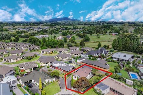 Photo of property in 8 Mahoe Place, Matamata, 3400