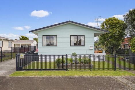 Photo of property in 13 Douglas Street, Levin, 5510