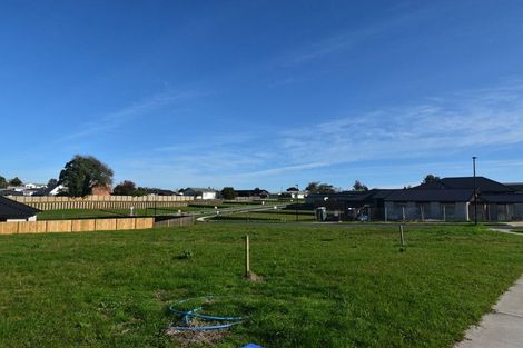 Photo of property in 9 Barberry Drive, Morrinsville, 3300