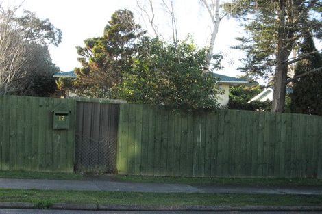 Photo of property in 12 Mcintosh Street, Chartwell, Hamilton, 3210