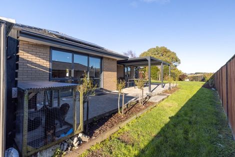 Photo of property in 17 Macdonald Heights, Feilding, 4702