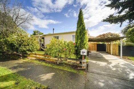 Photo of property in 29 Kowhai Street, Feilding, 4702