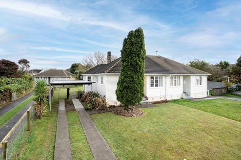 Photo of property in 39 Andrew Avenue, Roslyn, Palmerston North, 4414