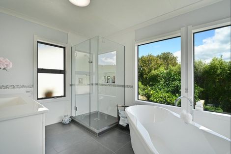 Photo of property in 455 Anaroa Road, Raukawa, Hastings, 4174