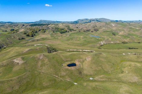 Photo of property in 300 Pattison Road, Akina, Hastings, 4122