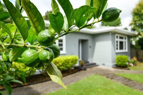 Photo of property in 10 Hardie Street, Hokowhitu, Palmerston North, 4410