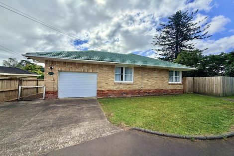 Photo of property in 45b Youngs Road, Papakura, 2110
