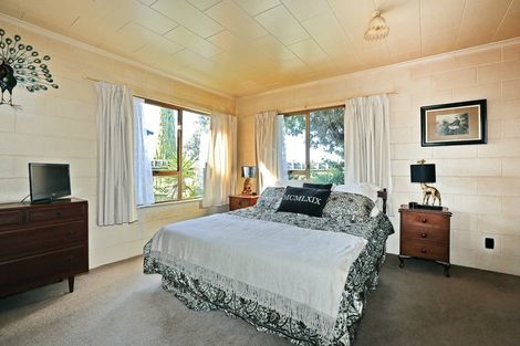 Photo of property in 500 Poplar Place, Akina, Hastings, 4122