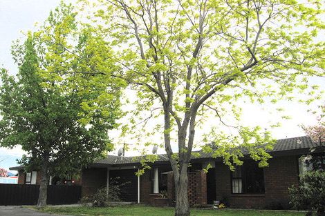 Photo of property in 146 Charles Street, Blenheim, 7201