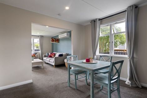 Photo of property in 17 Salisbury Avenue, Terrace End, Palmerston North, 4410