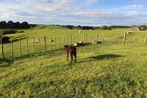 Photo of property in 197 Findlay Road, Mauku, Pukekohe, 2678