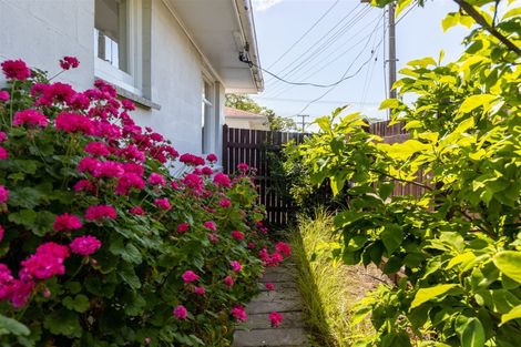 Photo of property in 165 Hospital Road, Witherlea, Blenheim, 7201