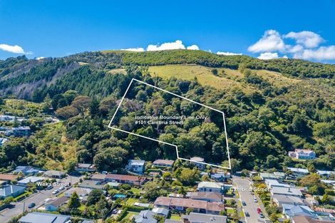 Photo of property in 101 Cambria Street, The Wood, Nelson, 7010