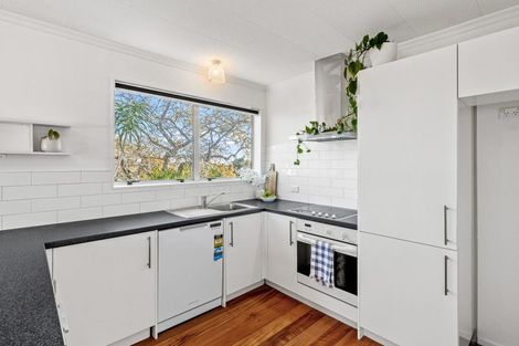 Photo of property in 219a Tukapa Street, Westown, New Plymouth, 4310