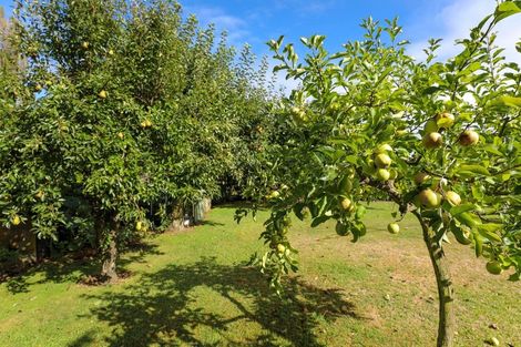 Photo of property in 3 Corlett Street, Taumarunui, 3920