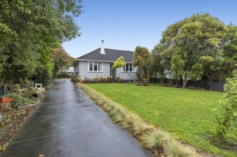 Photo of property in 393 Cambridge Terrace, Naenae, Lower Hutt, 5011
