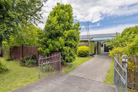 Photo of property in 3 Brian Bary Street, Redwoodtown, Blenheim, 7201