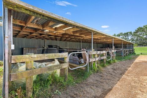Photo of property in 287 Taurangaruru Road, Karioitahi, Waiuku, 2683