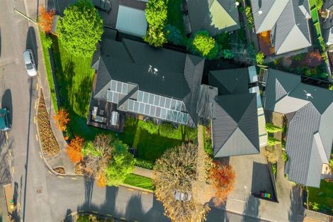 Photo of property in 39 Proctor Street, Papanui, Christchurch, 8053