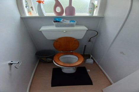 Photo of property in 24 Mahoe Street, Levin, 5510