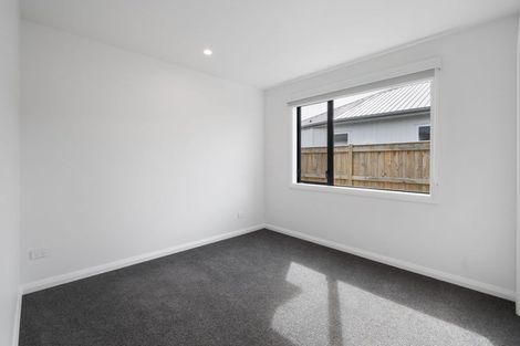 Photo of property in 17c Brightwater Terrace, Terrace End, Palmerston North, 4410