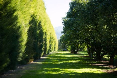 Photo of property in 203 Rea Road, Tahawai, Katikati, 3178