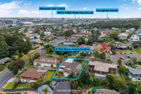 Photo of property in 3 Tilia Place, Totara Heights, Auckland, 2105