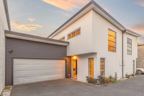 Photo of property in 25b Champion Street, Edgeware, Christchurch, 8013