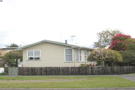 Photo of property in 85 Kaimanawa Street, Taupo, 3330