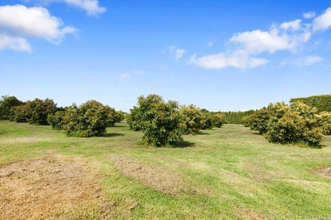 Photo of property in 718 Old Coach Road, Pongakawa, Te Puke, 3186