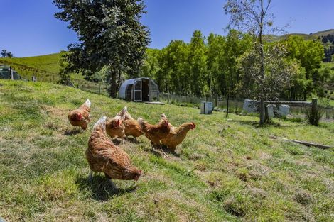 Photo of property in 145 Ashley Gorge Road, Starvation Hill, Oxford, 7495