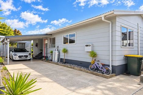 Photo of property in 24b Campbell Road, Mount Maunganui, 3116
