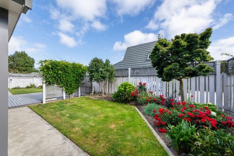 Photo of property in 9a Logan Place, Blenheim, 7201
