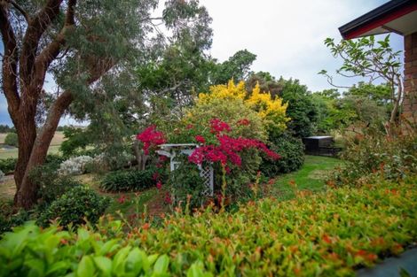 Photo of property in 229 Norwegian Road, Rotoorangi, Cambridge, 3495