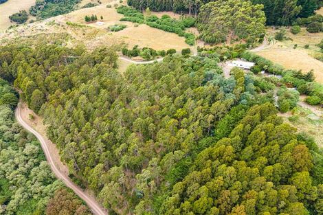 Photo of property in 306 Reynolds Valley Road, Okuti Valley, Little River, 7591