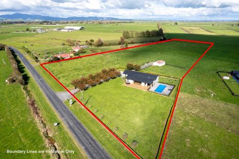 Photo of property in 243 Parallel Road, Ohaupo, Cambridge, 3495