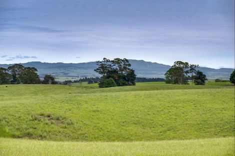 Photo of property in 812 Whakapirau Road, Whakapirau, Maungaturoto, 0583