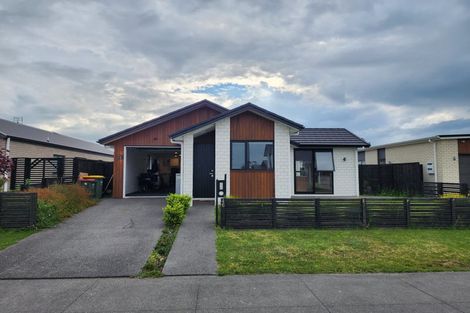 Photo of property in 46 Trewern Avenue, Chartwell, Hamilton, 3210