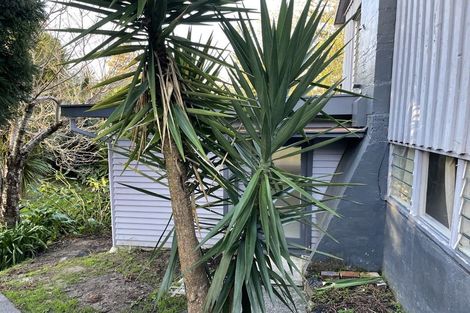 Photo of property in 19 Golf Road, New Lynn, Auckland, 0600