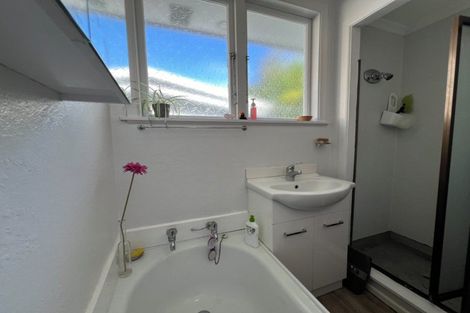 Photo of property in 149 Limbrick Street, Terrace End, Palmerston North, 4410