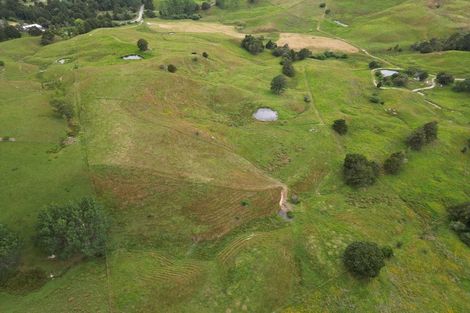 Photo of property in 118 Paparoa Station Road, Paparoa, 0571