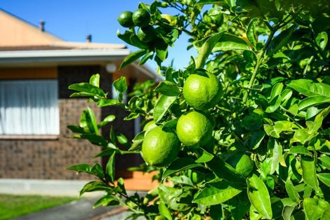 Photo of property in 22 Virginia Crescent, Feilding, 4702