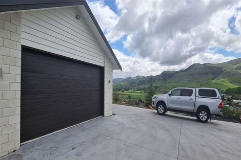 Photo of property in 21 Taniwha Street, Paeroa, 3600