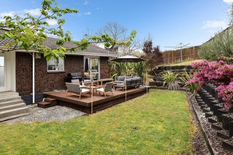 Photo of property in 8 Exeter Street, Glenview, Hamilton, 3206