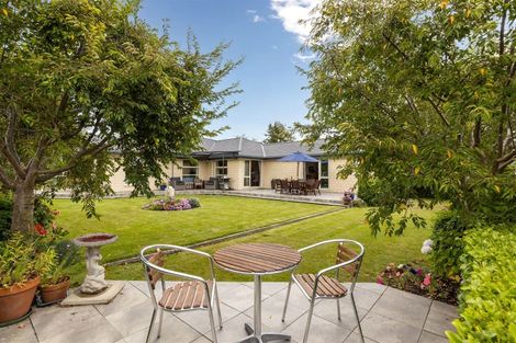 Photo of property in 217 Taylor Pass Road, Witherlea, Blenheim, 7201