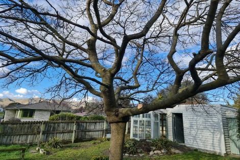 Photo of property in 10 Bowen Street, Kurow, 9435
