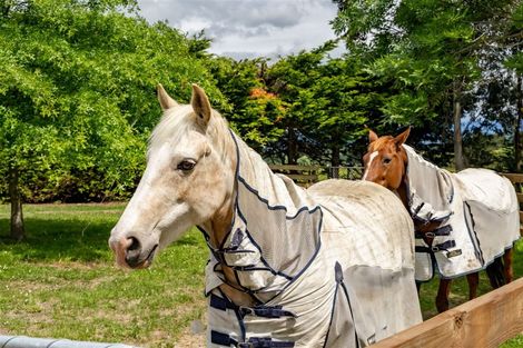 Photo of property in 78 Lees Pakaraka Road, Te Ore Ore, Masterton, 5886