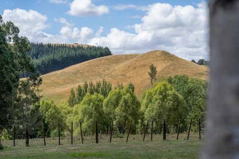 Photo of property in 46e Burnetts Road, Upper Plain, Masterton, 5888