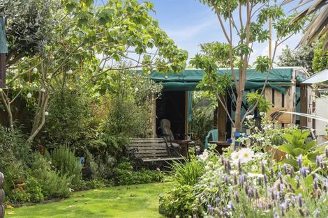 Photo of property in 31b Hibiscus Avenue, Mount Maunganui, 3116